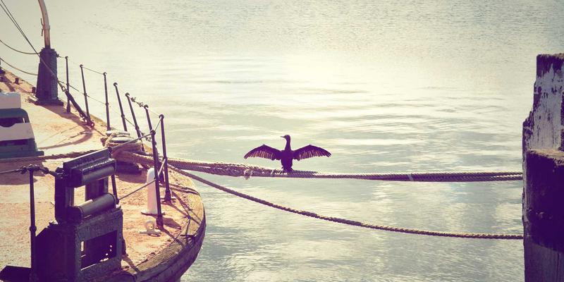 CSK商业摄影工作流揭秘：从现场拍摄到云端交付，高效管理大型活动与人像摄影项目