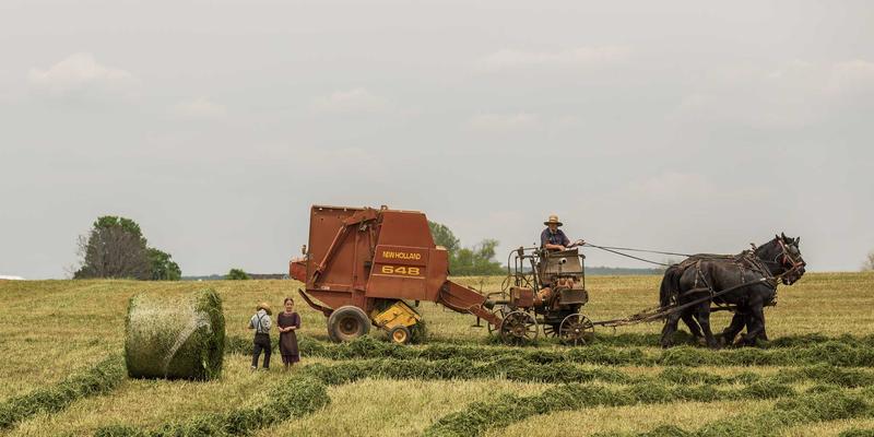 CSK摄影86：以匠心雕琢人像与商业摄影的艺术之光