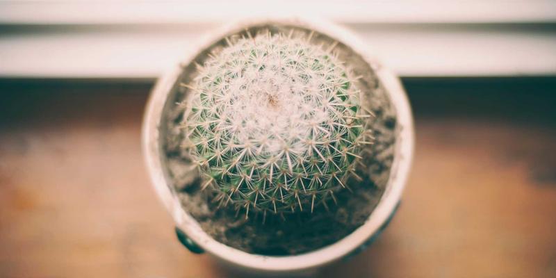 CSK摄影8：探索人像摄影与商业摄影的艺术融合与商业价值