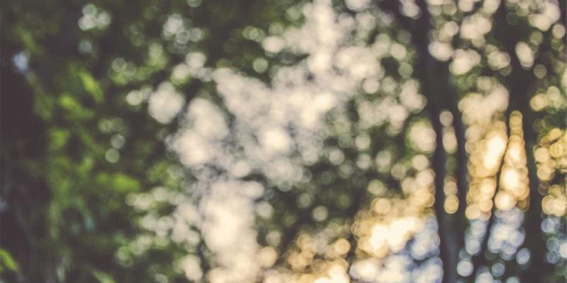 CSK摄影中的情绪引导技巧：让非专业模特在活动摄影中自然流露情感