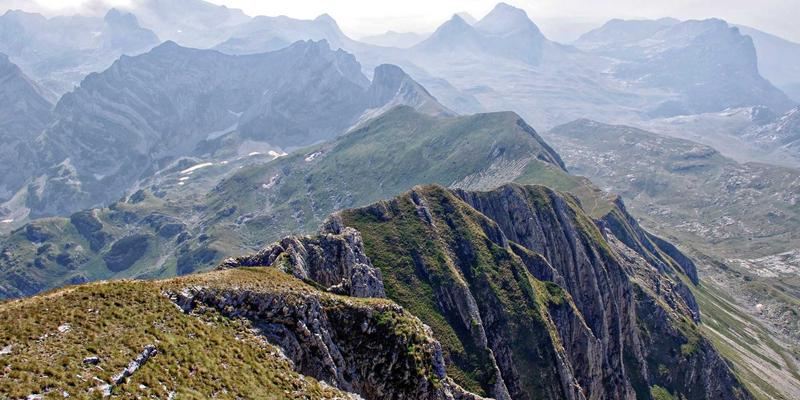 CSK摄影团队协作模式揭秘：活动摄影与人像摄影中的高效配合之道