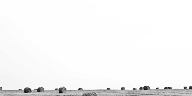 CSK摄影：如何用专业人像摄影与视觉叙事，打造更具吸引力与可信度的企业年报