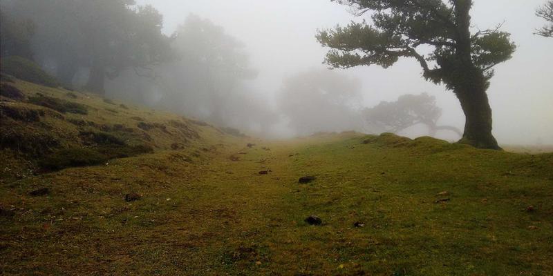 CSK摄影推荐：专业摄影服务如何为您的活动与人像瞬间赋予永恒价值