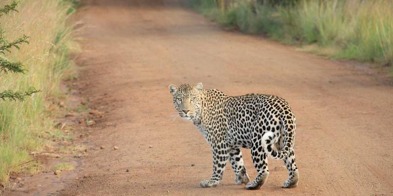 CSK摄影赋能品牌：打造Instagram等社交平台的视觉连贯性策略