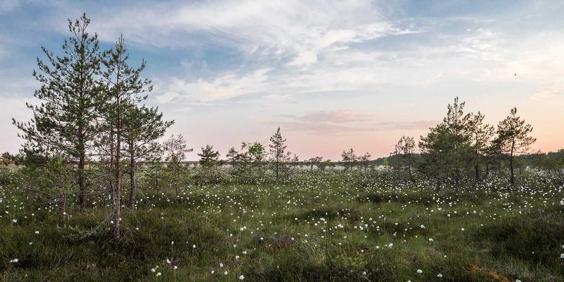 专业摄影服务揭秘：CSK导师专访，掌握人像摄影中引导模特展现自然神态的沟通秘诀