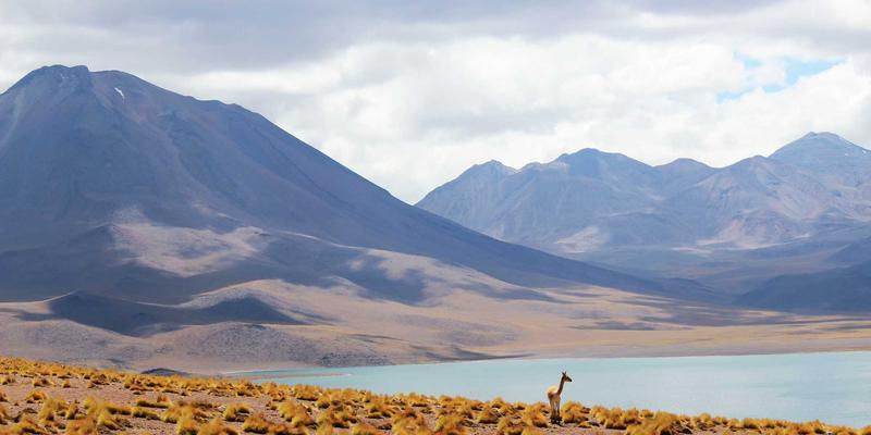 人像与商业摄影作品集新思路：CSK胶片模拟与数码质感的融合艺术