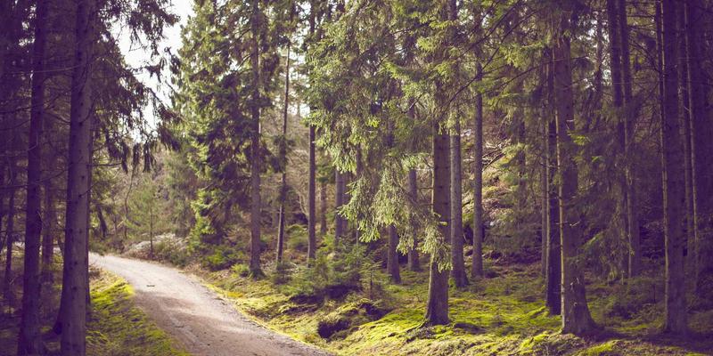 商业、活动与人像摄影中的负空间艺术：如何用留白提升作品质感与主题聚焦